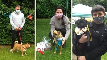 Congleton care home Colleagues take their dogs to work for show